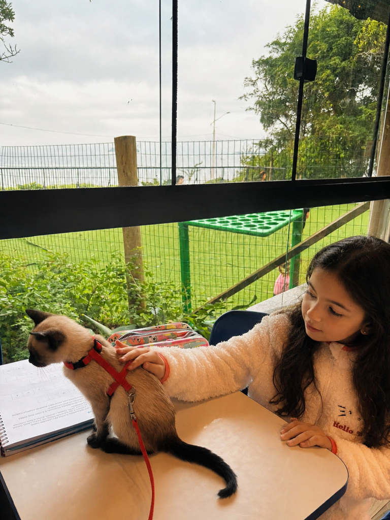 THEOREMA BILINGUAL ECO SCHOOL ACOLHIMENTO | Theorema Bilingual Eco School | Balneario Picarras