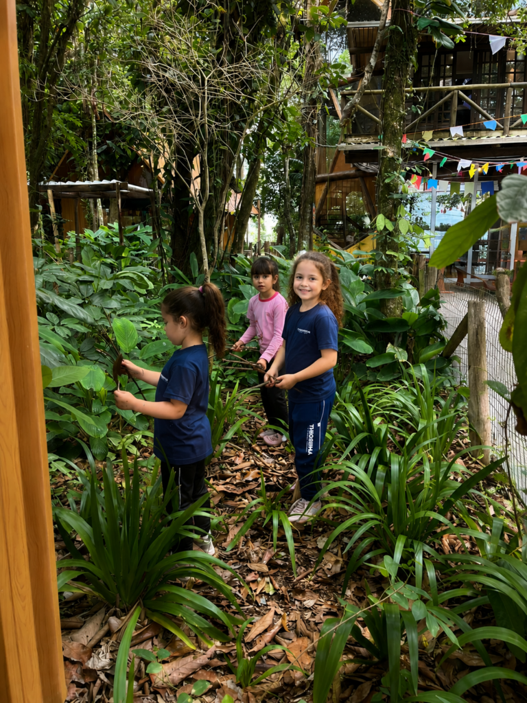 THEOREMA BILINGUAL ECO SCHOOL COLETA MATERIAL NATURAL PICARRAS 01 | Theorema Bilingual Eco School | Balneario Picarras