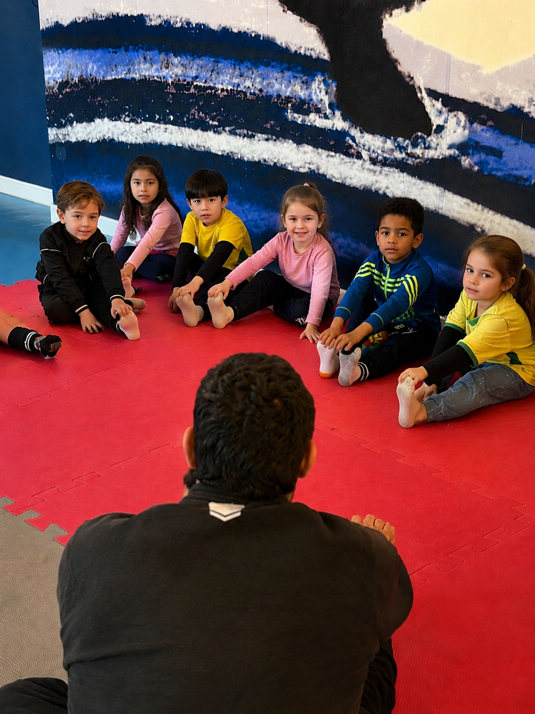 THEOREMA - MARCIAL ARTS - THEOREMA BILINGUAL ECO SCHOOL - PICARRAS - 03