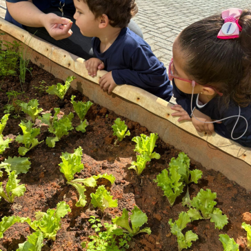 Design sem nome (21)